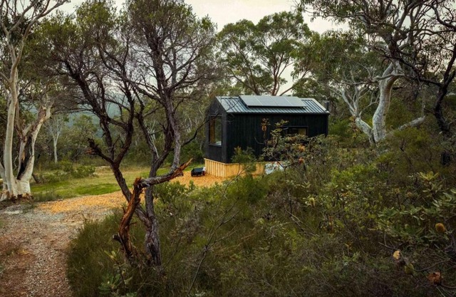 Remote Off-Grid Cabin Hidden in the Bush - Fern