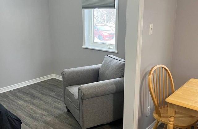 Renovated Bachelor, Stephenvillenn