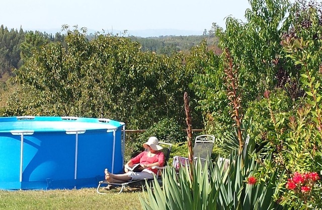 Renovated granite house w/pool in quiet rural valley nr Tabua & Serra Estrela
