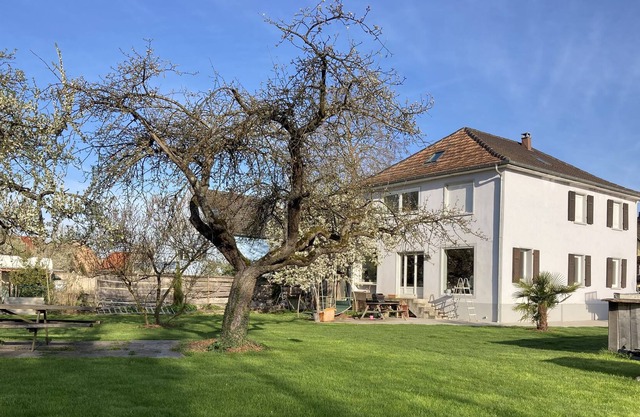 Renovated house of 200m2 15 minutes from Strasbourg
