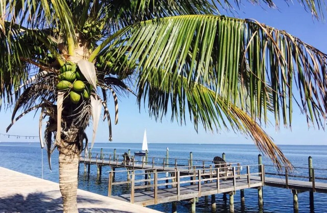 Resort style Luxury condo on the waterfront with private patio overlooking bay.
