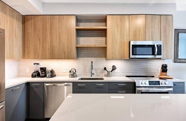 Reston 1BR nr Washington DC | Pet friendly | nr Metro