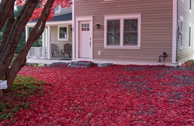 Restored 1881 Farm House