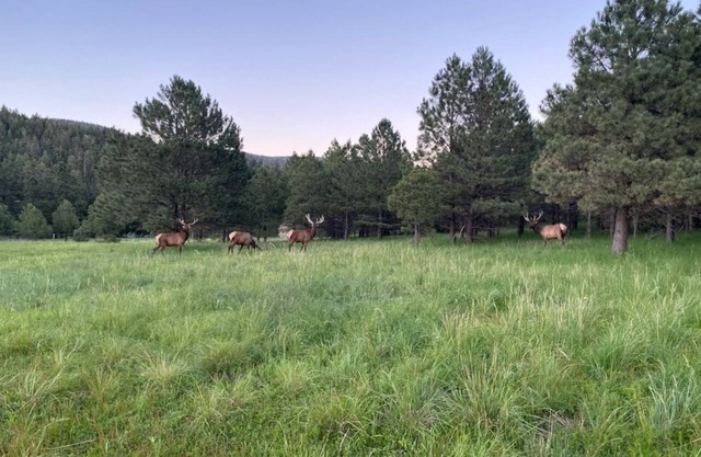 Retreat at Saviour Trail, New Mexico for your Reunion or Family get away