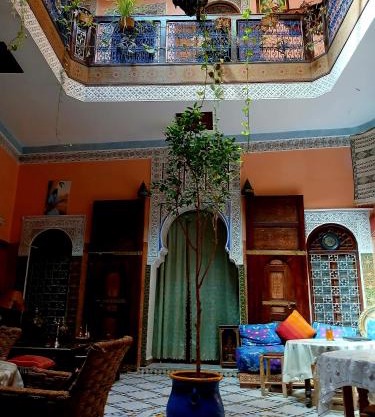 Riad Idrissi