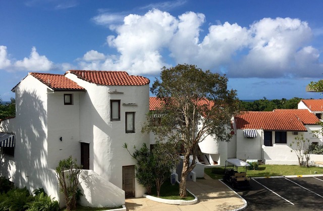 Rio Mar Cluster 2 Studio Apartment