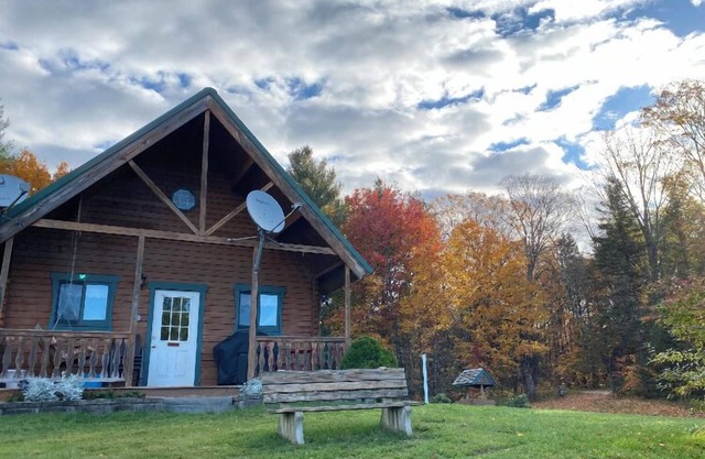 River Bend Cabin Moose