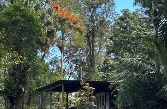 River House (aka Federal Hilton) - Byron Bay Hinterland holiday cottage