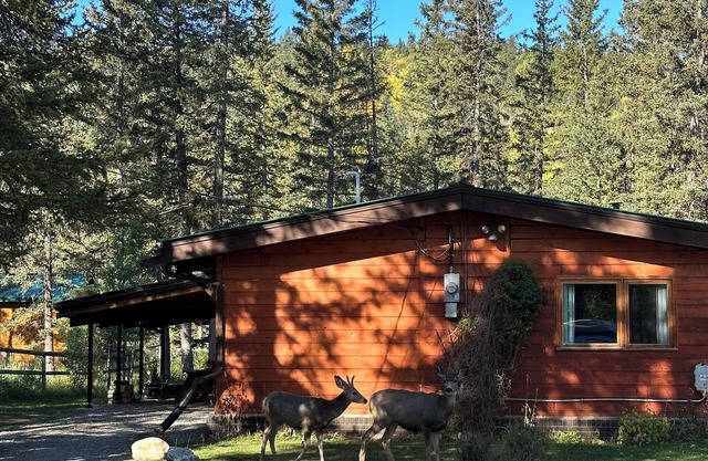 Riverside Bragg Creek Cabin in the Heart of Town