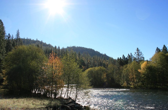 Rogue River Escape - 19 acres on the Rogue River