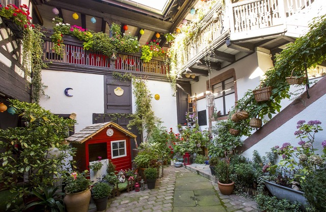 Romantic apartment on the Alsace wine route