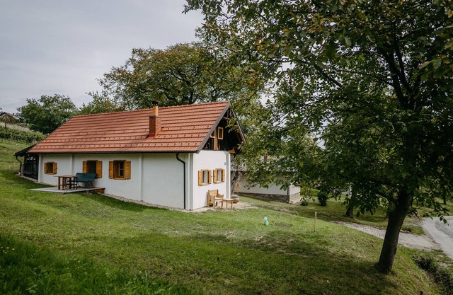 Romantic cellar in the middle of the countryside