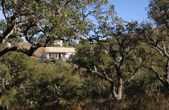 Romantic house in the Algarve hills