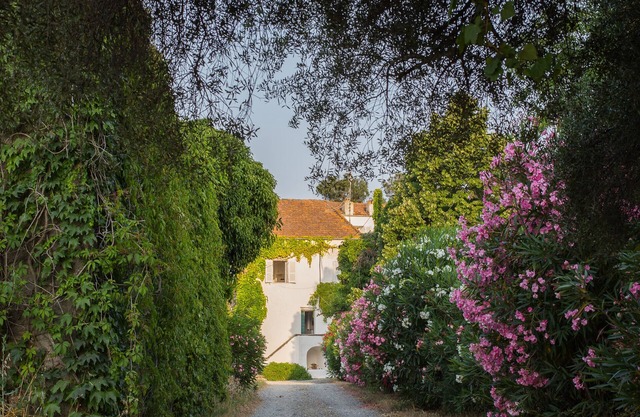Romantic house, private swimming pool, quiet and welcoming estate