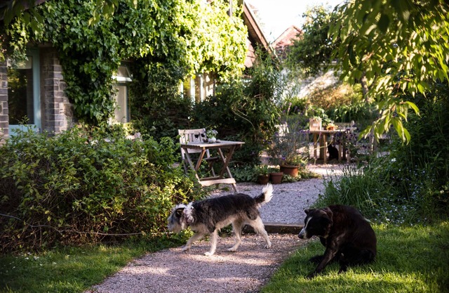 Romantic sunny South Devon garden cottage with wifi set in garden and woodland