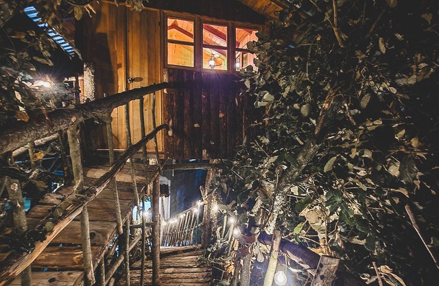 Romantic treehouse with forest view and extensive green areas