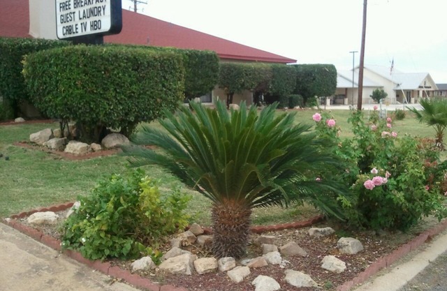 Royal Inn Pearsall