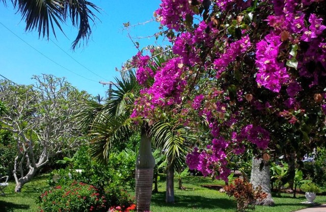 Royal Palms Hotel