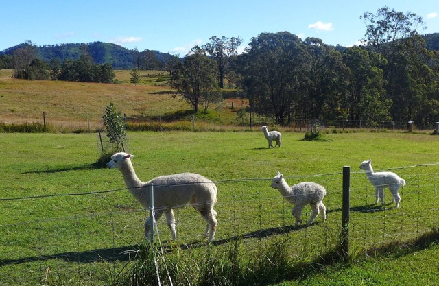 Rural Ambience with Netflix. Two bedrooms / Breakfast incl / Kitchen. Sleeps 4.