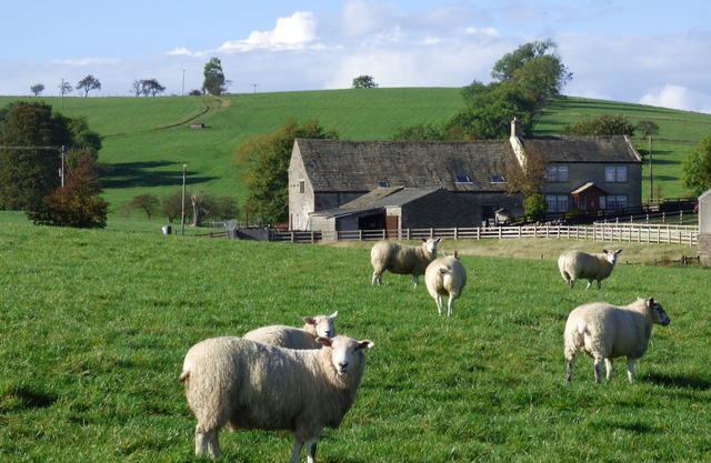 Rural Seclusion with panoramic countryside views, dog friendly, free WiFi.