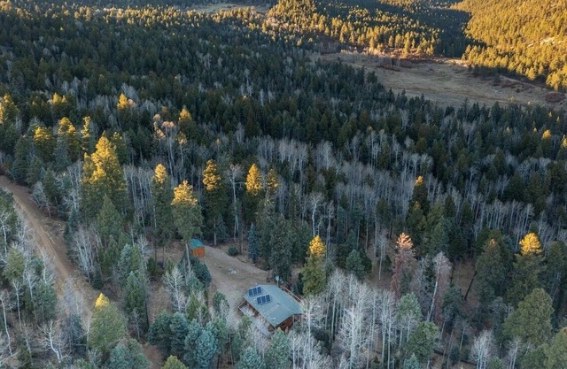 Rustic 2BR solar cabin near Taos — unplug, unwind, and enjoy the views.