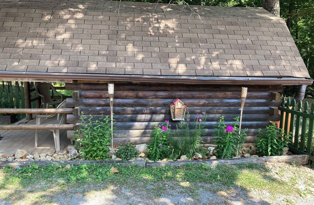 Rustic Bee Cabin - camping