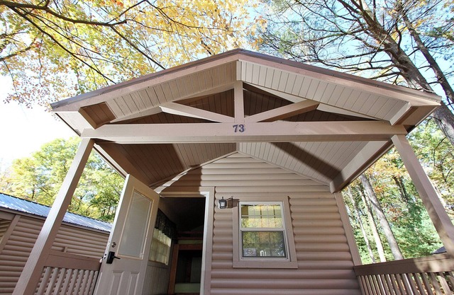 Rustic Cabin 28 w/4 Beds