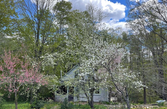 Rustic cottage on brook