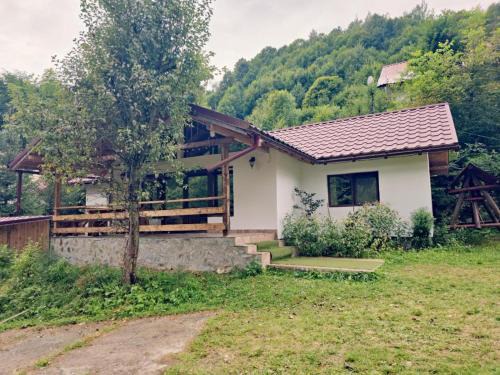 Rustic Home