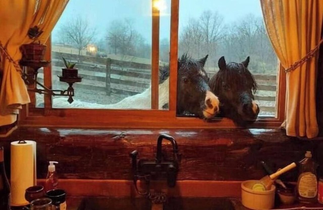Rustic Luxury w/Horses-Historic Whiskey Distillery