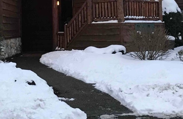 Rustic Mountainside Townhouse