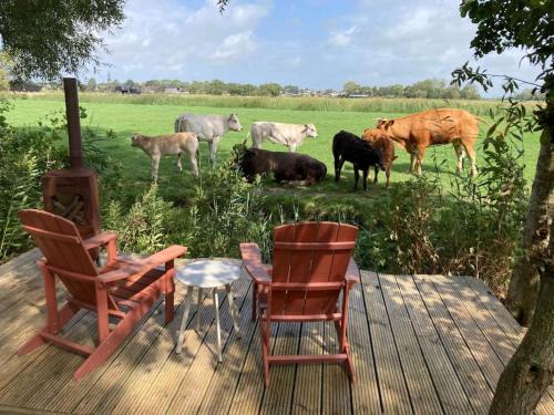 RUSTIG landelijk chalet met panoramaview & comfort