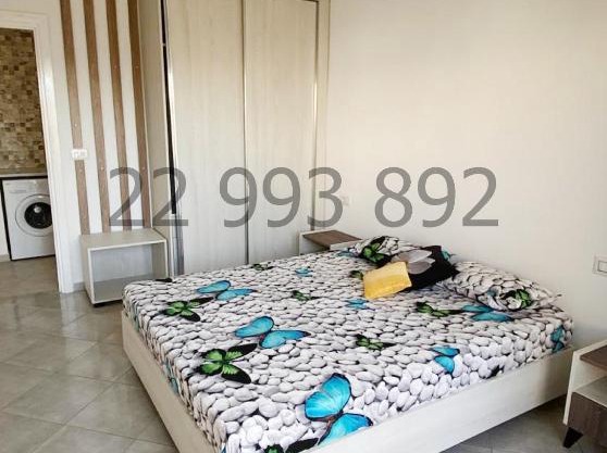 s+2 pied dans l'eau à dar allouche kélibia