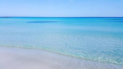 S2 meublé 1er étage kelibia la blanche