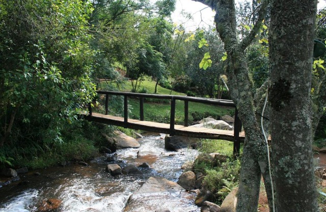 Sabie Star