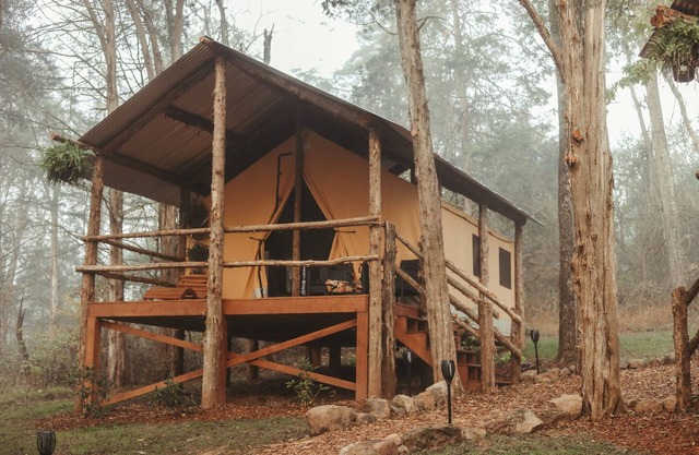 Safari Style Luxury Tents