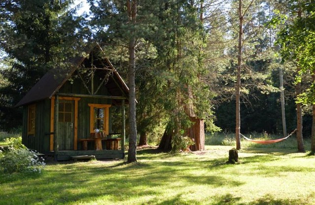 Saia Forest House