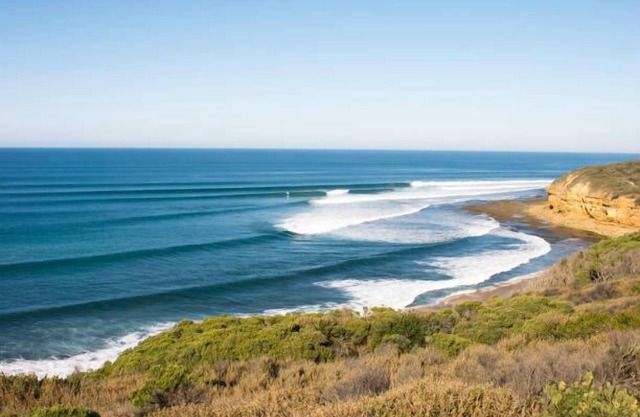 Saltbush Oasis: Sunny Parkside Getaway