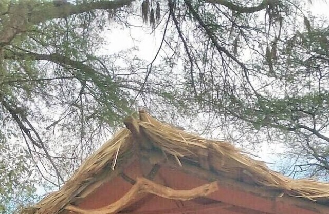 Samburu Riverside Camp