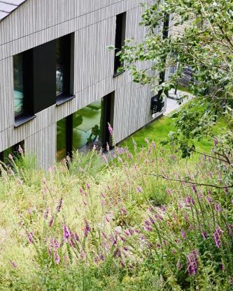 Sauerland Lodge - Haus Juliana