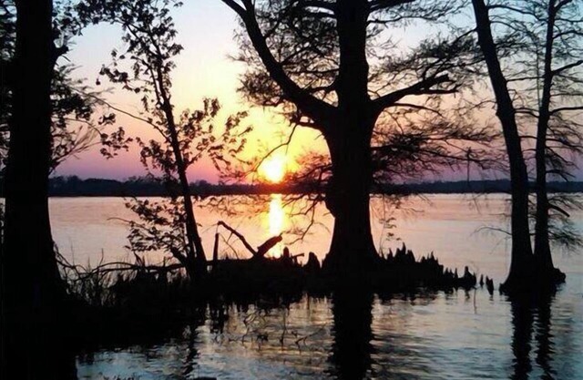 Scales And Ducktails Rentals. Your Hunter And Fisherman Home Away From Home.