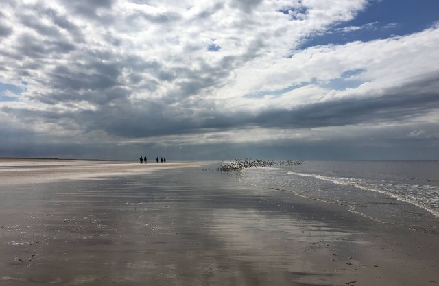 Scalp Cottage, Holme-next-the-Sea, Norfolk