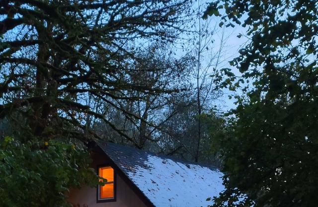 Scenic cabin with a creek view