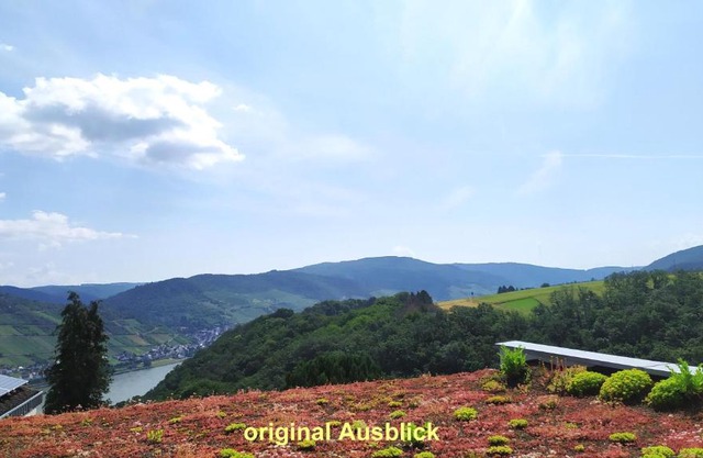 Schau-Rhein#2 - on Top of Bacharach, Rhineview