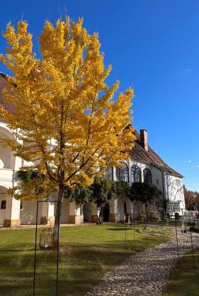 Schloss Welsdorf