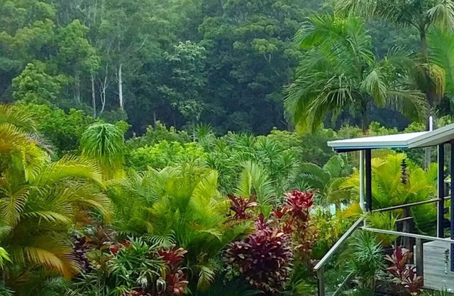 Scotts Head Retreat - Secluded Property