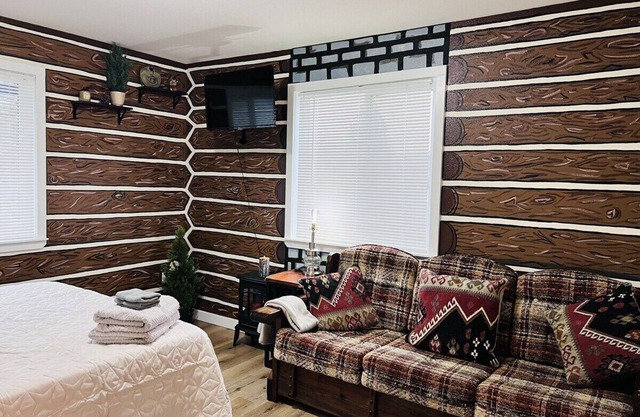 Scout- a rustic “cabin” apartment, very fast wifi