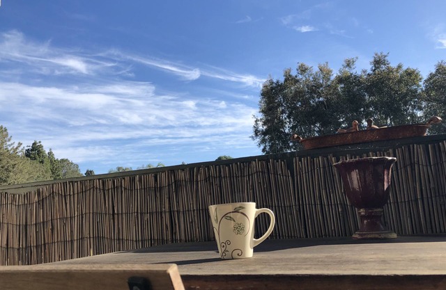 SD Writer's Pad ~ KILLER location near La Jolla, PB, Downtown ~ walk to Trolley!