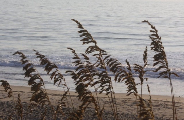 Sea Breezes North - Just Steps To The Beach!
