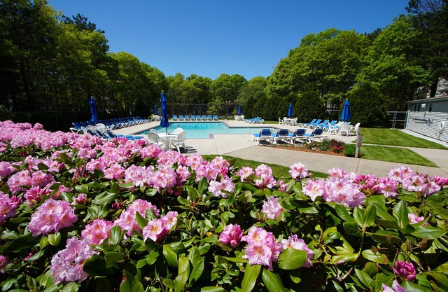 Sea Mist Resort